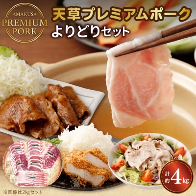 天草プレミアムポーク よりどりセット約4kg_S058-025