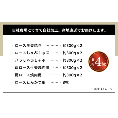 天草プレミアムポーク よりどりセット約4kg_S058-025