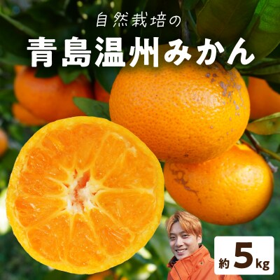 青島温州みかん 約5kg_S178-003