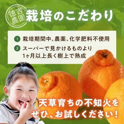 【自然栽培】不知火 約2kg_S178-004