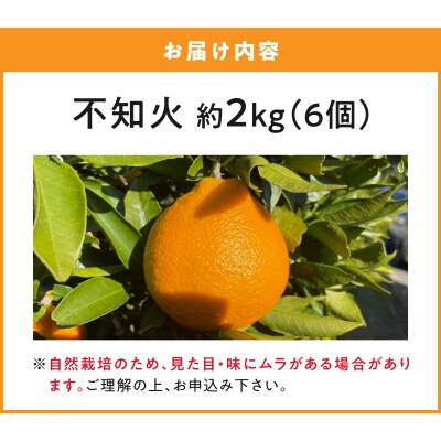 【自然栽培】不知火 約2kg_S178-004