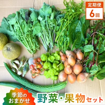 【定期便6回】季節のおまかせ野菜と果物セット_S096-004-T06