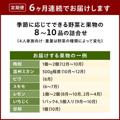 【定期便6回】季節のおまかせ野菜と果物セット_S096-004-T06