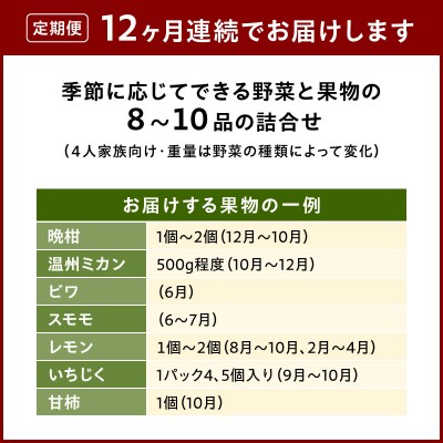 【定期便12回】季節のおまかせ野菜と果物セット_S096-004-T12