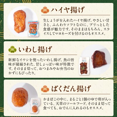 懐かしかまぼこ8個セット(ばくだん、いわし揚げ、ハイヤ揚げなど)_S028-003