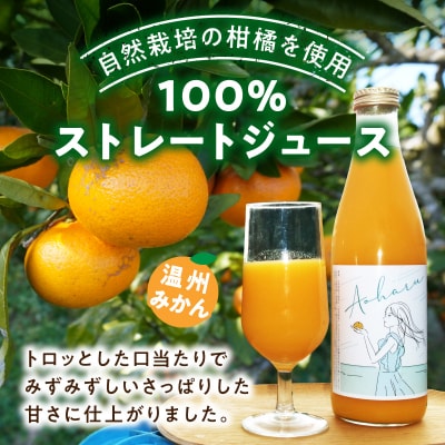 アオハル(温州みかん)2本セット_S178-005