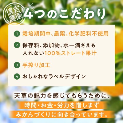 アオハル(温州みかん)2本セット_S178-005