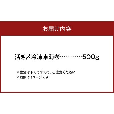 活き〆冷凍車海老 500g_S065-006