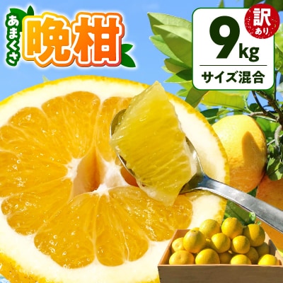 【訳あり】あまくさ晩柑 9kg_S097-006