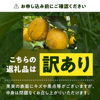 【訳あり】あまくさ晩柑 9kg_S097-006