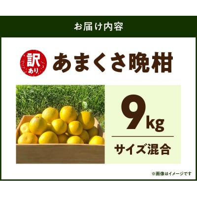 【訳あり】あまくさ晩柑 9kg_S097-006