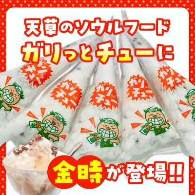 ガリっとチュー(金時　10個入り)_S030-008