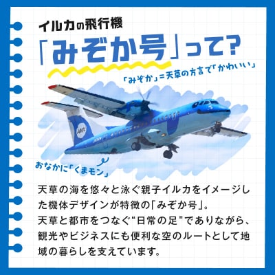 イルカの飛行機「天草エアライン」天草空港内での撮影会_S035-010
