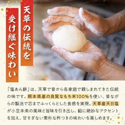 昔ながらの杵つきの味わい「塩あん餅」24個_S030-010