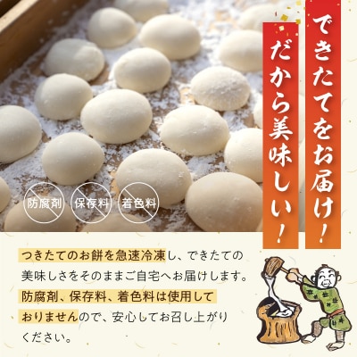 昔ながらの杵つきの味わい「塩あん餅」24個_S030-010