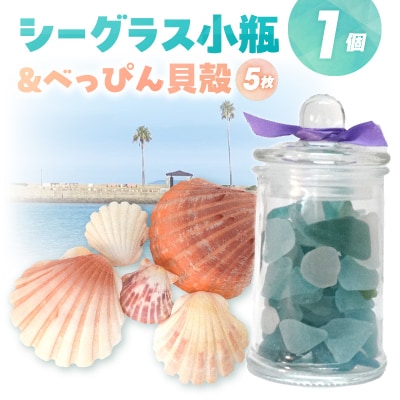 シーグラスとべっぴん貝殻のセット_S183-004