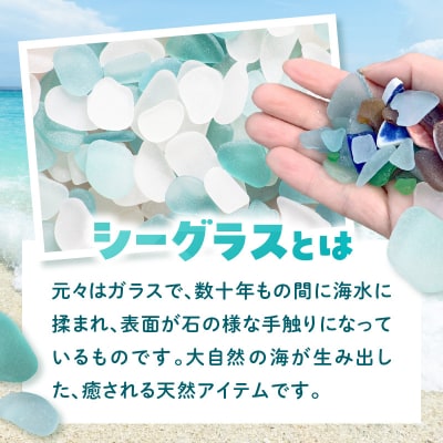 シーグラスとべっぴん貝殻のセット_S183-004