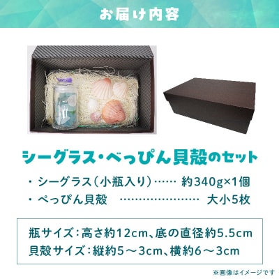シーグラスとべっぴん貝殻のセット_S183-004