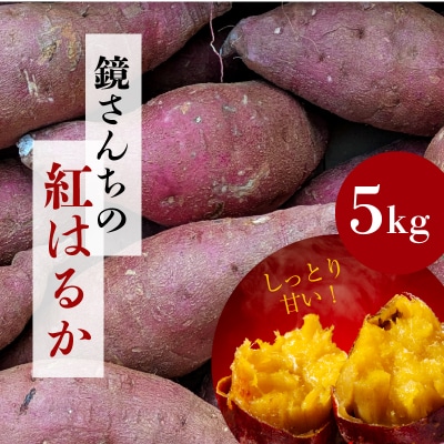 鏡さんちの紅はるか 5kg_S050-010