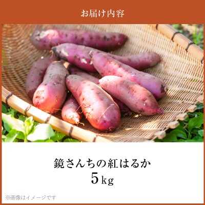 鏡さんちの紅はるか 5kg_S050-010