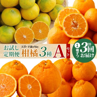 【お試し定期便】天草・下浦の旬の柑橘3種Aセット_S040-T08