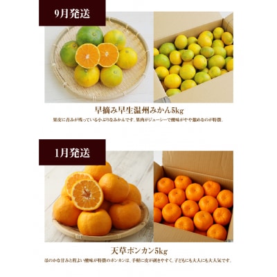 【お試し定期便】天草・下浦の旬の柑橘3種Aセット_S040-T08