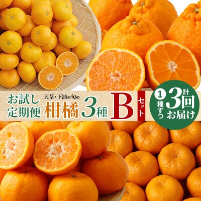 【お試し定期便】天草・下浦の旬の柑橘3種Bセット_S040-T09