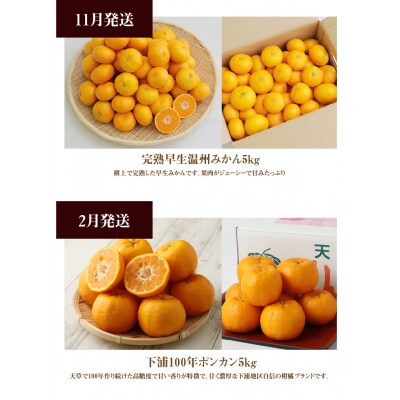 【お試し定期便】天草・下浦の旬の柑橘3種Bセット_S040-T09