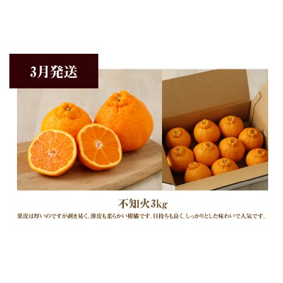 【お試し定期便】天草・下浦の旬の柑橘3種Bセット_S040-T09