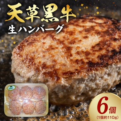 天草黒牛生ハンバーグ_S074-017