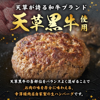 天草黒牛生ハンバーグ_S074-017