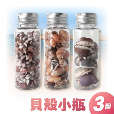 貝殻小瓶3本セット_S183-005