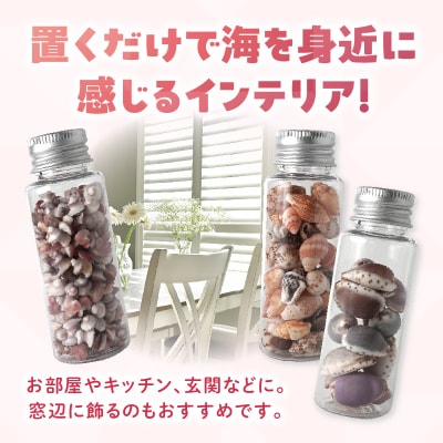 貝殻小瓶3本セット_S183-005