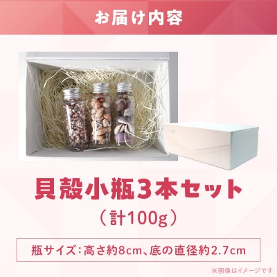 貝殻小瓶3本セット_S183-005