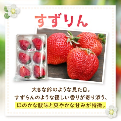 【1月～2月発送】朝摘み完熟イチゴセット(マロンベリー・すずりん)_S186-001-01