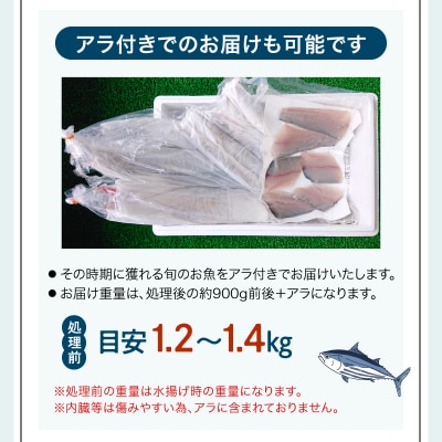 【指定日必須】焼き魚コース_S121-001A