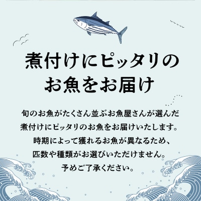 【指定日必須】煮付けコース_S121-002A