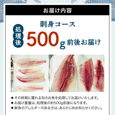 【指定日必須】刺身コース_S121-003A