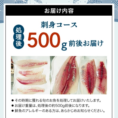 【指定日必須】刺身コース_S121-003A