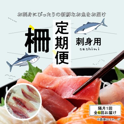 指定日必須【隔月　6回お届け】お刺身用柵定期便_S121-T02