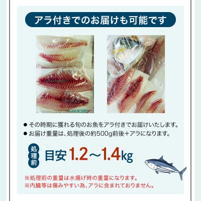 指定日必須【隔月　6回お届け】お刺身用柵定期便_S121-T02
