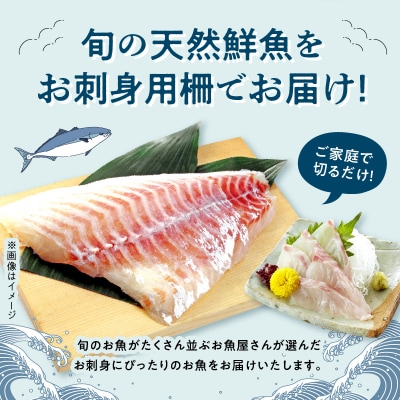 指定日必須【隔月　3回お届け】お刺身用柵定期便_S121-T04