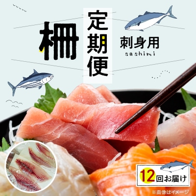 【全12回　連続 指定日必須】 お刺身用柵定期便_S121-T05