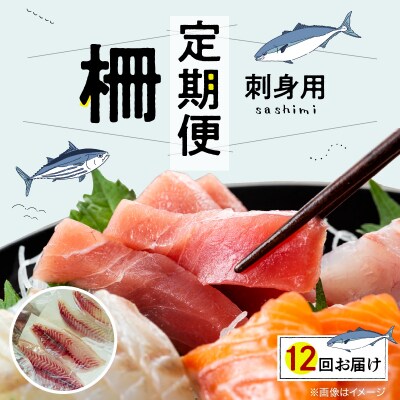 【全12回　連続 指定日必須】 お刺身用柵定期便_S121-T05