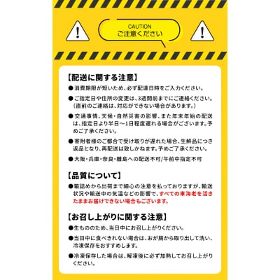 【指定日必須】活き車海老「やまと車海老」700g〈先行受付〉_S010-084