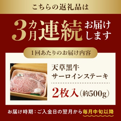 【定期便3回】天草黒牛 サーロイン ステーキ 黒毛和牛 A4～5等級_S074-013-T03