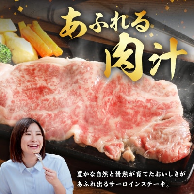 【定期便3回】天草黒牛 サーロイン ステーキ 黒毛和牛 A4～5等級_S074-013-T03