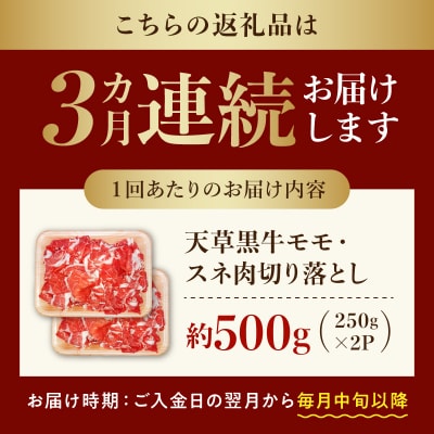 【定期便3回】天草黒牛 モモ・スネ肉 切り落とし 黒毛和牛 A4～5等級_S074-016-T03