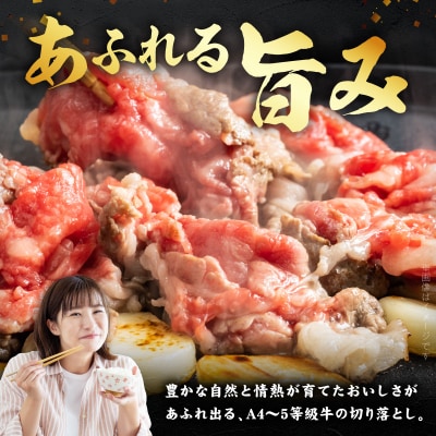 【定期便3回】天草黒牛 モモ・スネ肉 切り落とし 黒毛和牛 A4～5等級_S074-016-T03