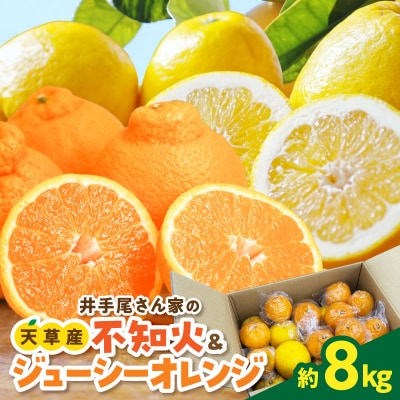 【数量限定】井手尾さん家が丹精込めた天草の不知火とジューシーオレンジ 計約8kg_S086-009